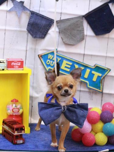 20230415れおくん